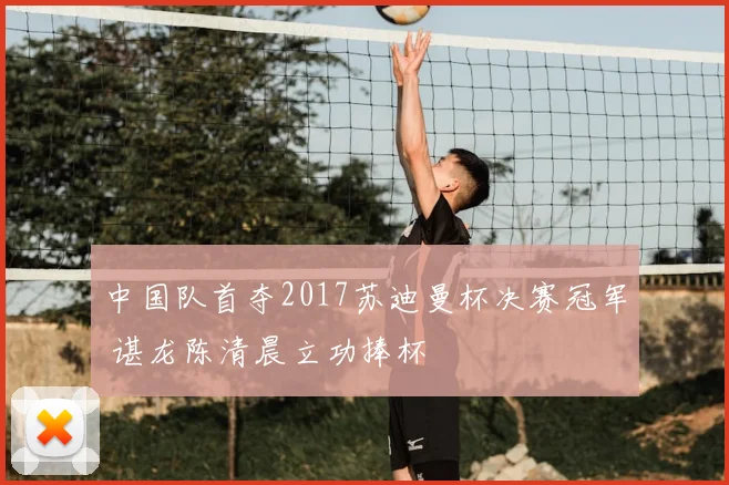 中国队首夺2017苏迪曼杯决赛冠军 谌龙陈清晨立功捧杯