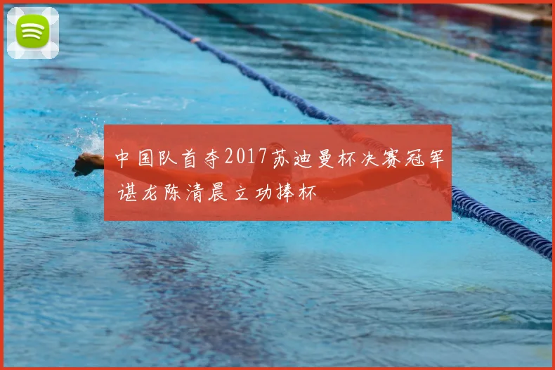 中国队首夺2017苏迪曼杯决赛冠军 谌龙陈清晨立功捧杯