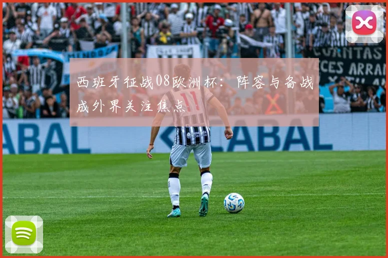 西班牙征战08欧洲杯：阵容与备战成外界关注焦点