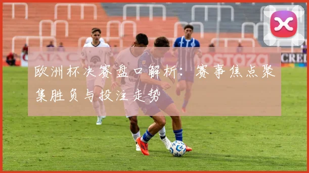 欧洲杯决赛盘口解析：赛事焦点聚集胜负与投注走势