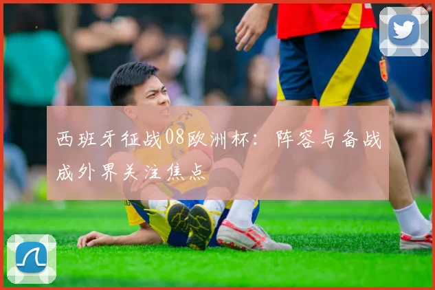 西班牙征战08欧洲杯:阵容与备战成外界关注焦点